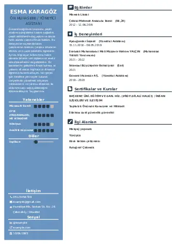 Yönetici Asistanı Cv Örnekleri cv indir